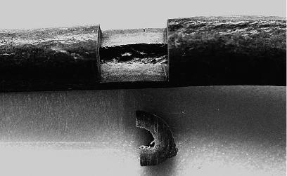 Неандерталец. В поисках исчезнувших геномов