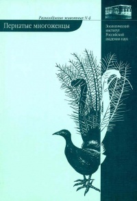 Пернатые многоженцы - Владимир Паевский