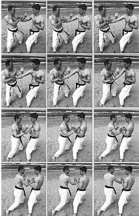 Энциклопедия каратэ. История и философия, теория и практика, педагогические принципы и методики обучения