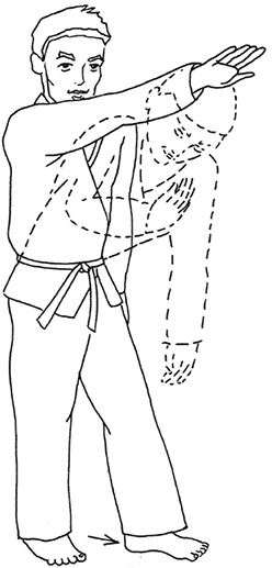 Кодекс самурая. Запретная книга Силы