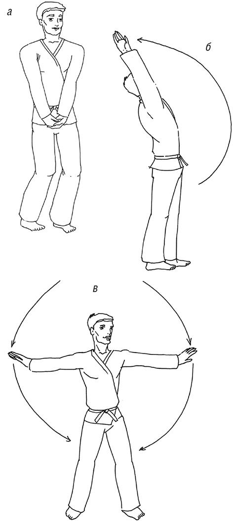 Кодекс самурая. Запретная книга Силы