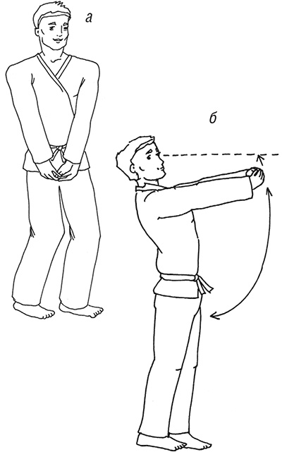 Кодекс самурая. Запретная книга Силы