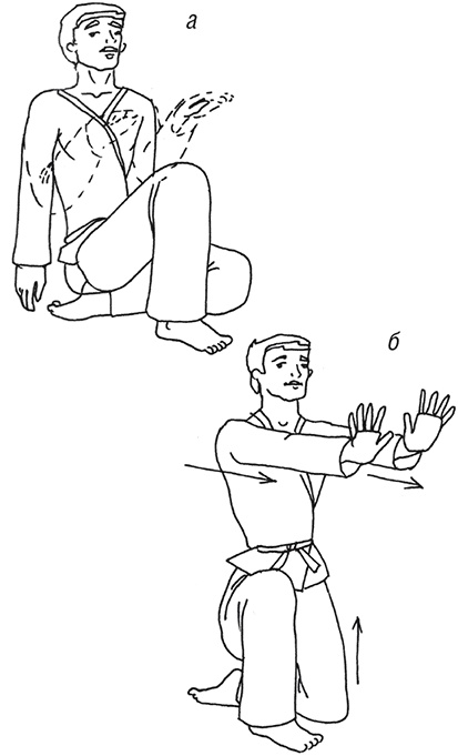 Кодекс самурая. Запретная книга Силы