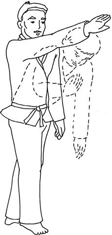 Кодекс самурая. Запретная книга Силы