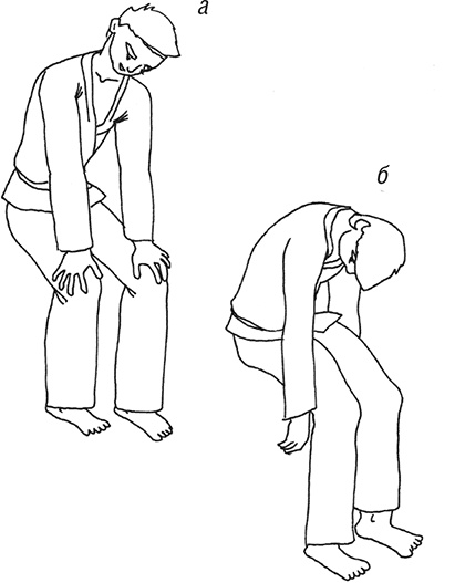 Кодекс самурая. Запретная книга Силы