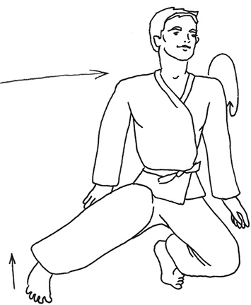 Кодекс самурая. Запретная книга Силы