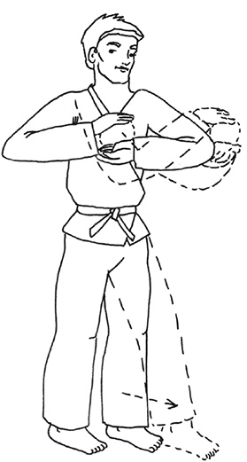 Кодекс самурая. Запретная книга Силы