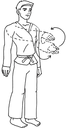 Кодекс самурая. Запретная книга Силы