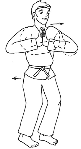 Кодекс самурая. Запретная книга Силы