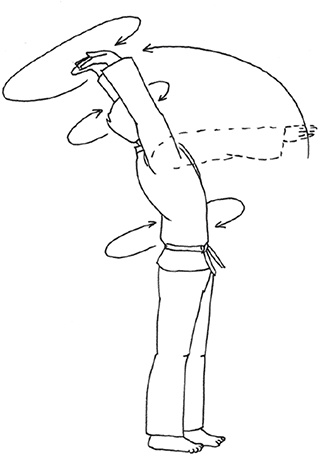 Кодекс самурая. Запретная книга Силы