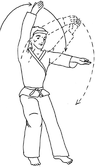 Кодекс самурая. Запретная книга Силы