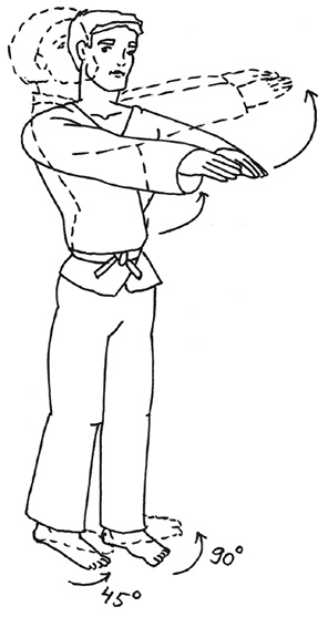 Кодекс самурая. Запретная книга Силы