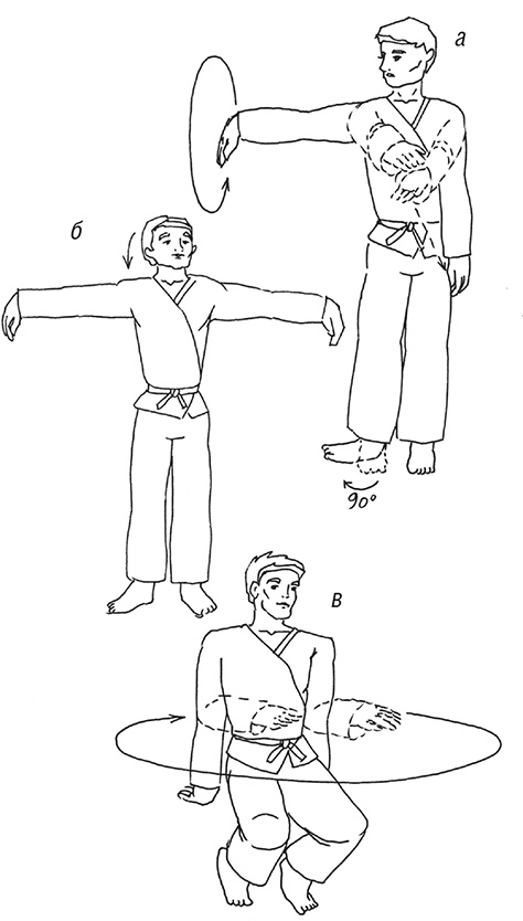 Кодекс самурая. Запретная книга Силы