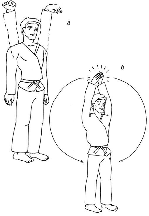 Кодекс самурая. Запретная книга Силы