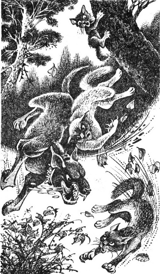 Первая битва Первая битва