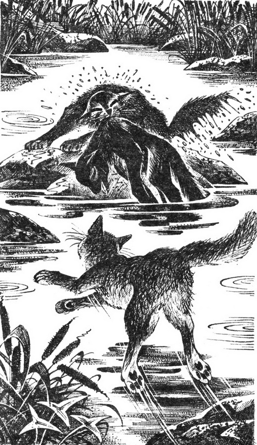 Первая битва Первая битва