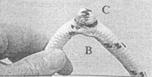 Морские узлы в обиходе Морские узлы в обиходе