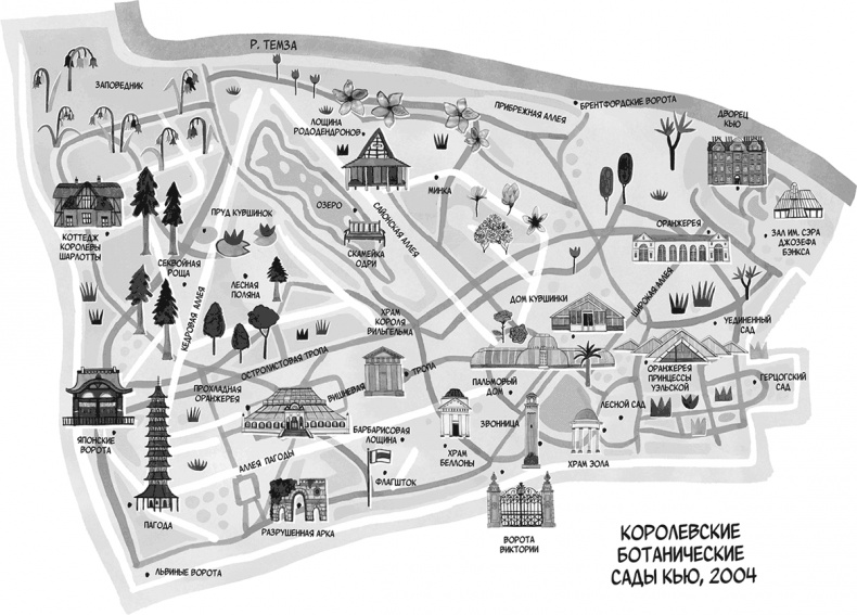 Тысяча бумажных птиц Тысяча бумажных птиц