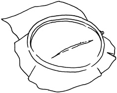 Полная энциклопедия домашнего хозяйства