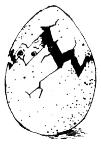 Бабушка с крылышками Бабушка с крылышками