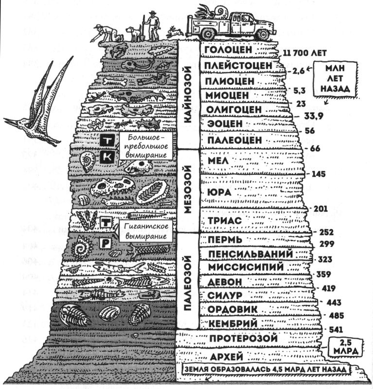 Отпечатки жизни. 25 шагов эволюции и вся история планеты Отпечатки жизни. 25 шагов эволюции и вся история планеты