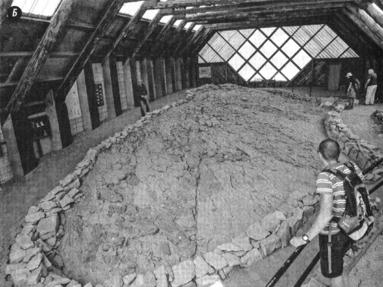 Отпечатки жизни. 25 шагов эволюции и вся история планеты