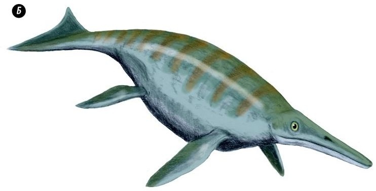 Отпечатки жизни. 25 шагов эволюции и вся история планеты