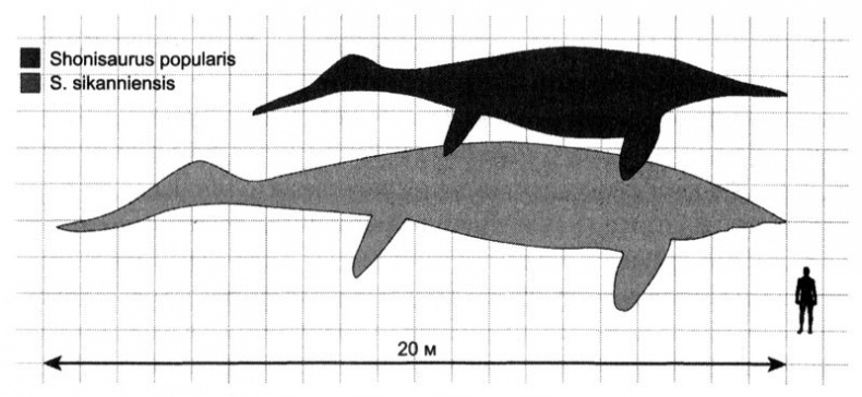 Отпечатки жизни. 25 шагов эволюции и вся история планеты