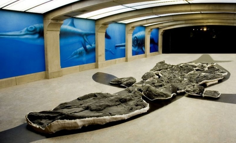 Отпечатки жизни. 25 шагов эволюции и вся история планеты