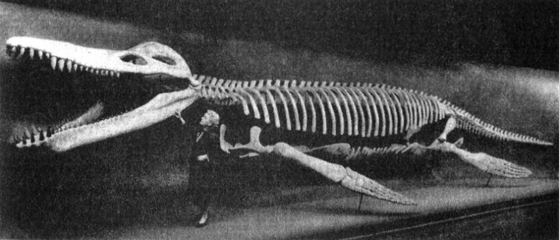 Отпечатки жизни. 25 шагов эволюции и вся история планеты