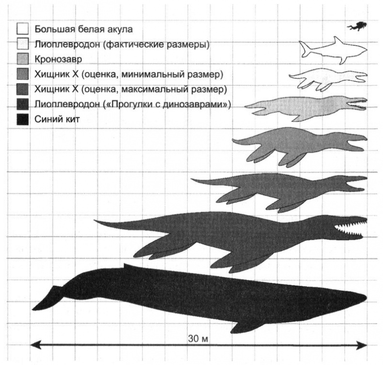 Отпечатки жизни. 25 шагов эволюции и вся история планеты