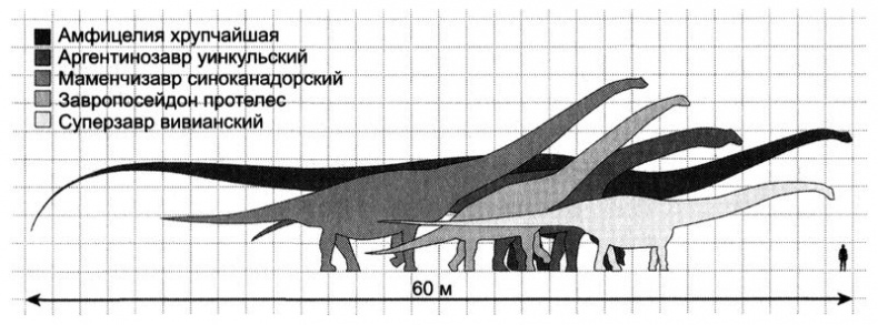 Отпечатки жизни. 25 шагов эволюции и вся история планеты Отпечатки жизни. 25 шагов эволюции и вся история планеты
