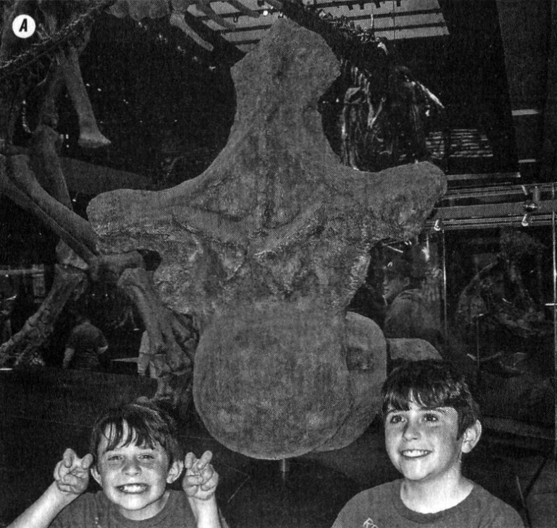 Отпечатки жизни. 25 шагов эволюции и вся история планеты