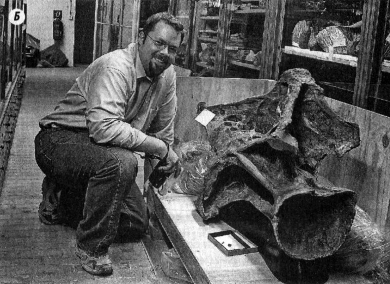 Отпечатки жизни. 25 шагов эволюции и вся история планеты