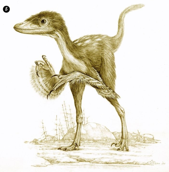 Отпечатки жизни. 25 шагов эволюции и вся история планеты