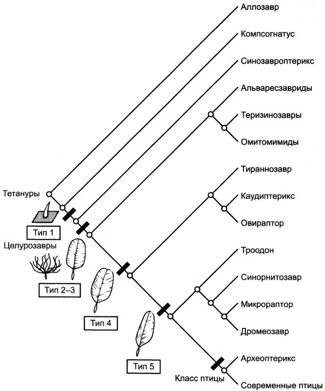 Отпечатки жизни. 25 шагов эволюции и вся история планеты