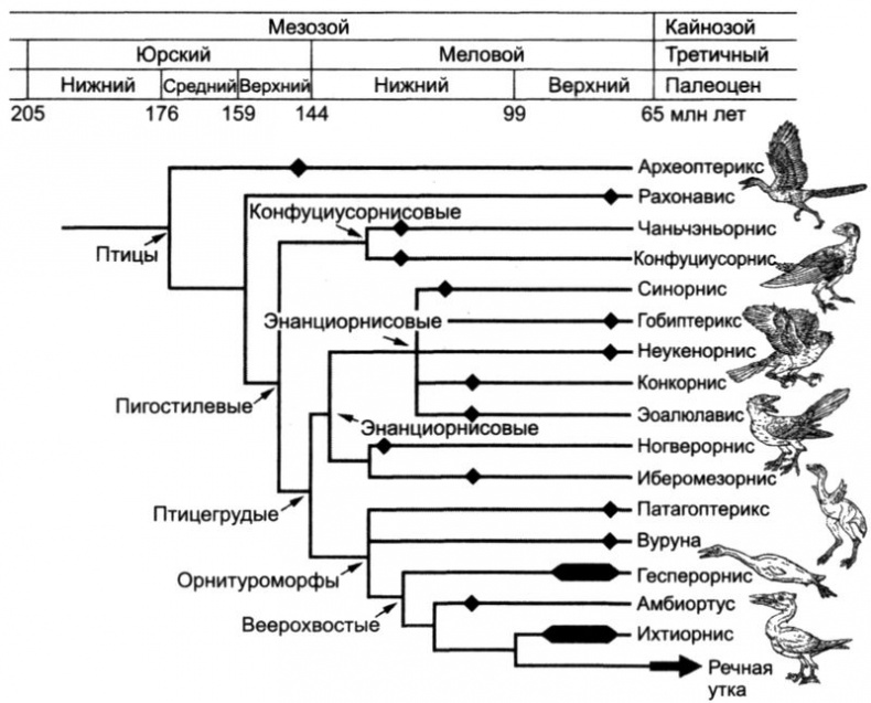 Отпечатки жизни. 25 шагов эволюции и вся история планеты