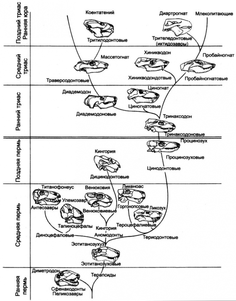 Отпечатки жизни. 25 шагов эволюции и вся история планеты