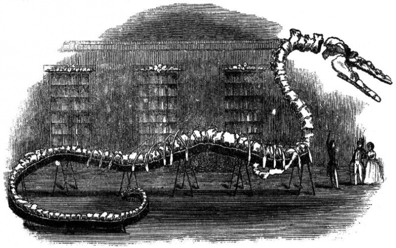 Отпечатки жизни. 25 шагов эволюции и вся история планеты