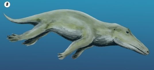 Отпечатки жизни. 25 шагов эволюции и вся история планеты