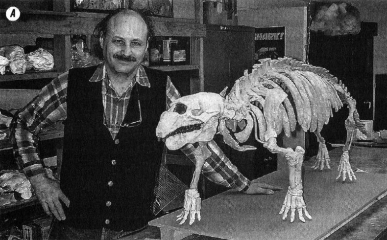 Отпечатки жизни. 25 шагов эволюции и вся история планеты