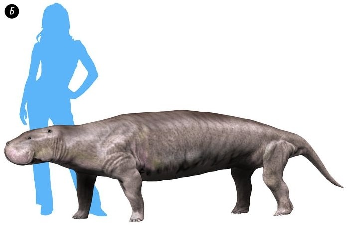 Отпечатки жизни. 25 шагов эволюции и вся история планеты