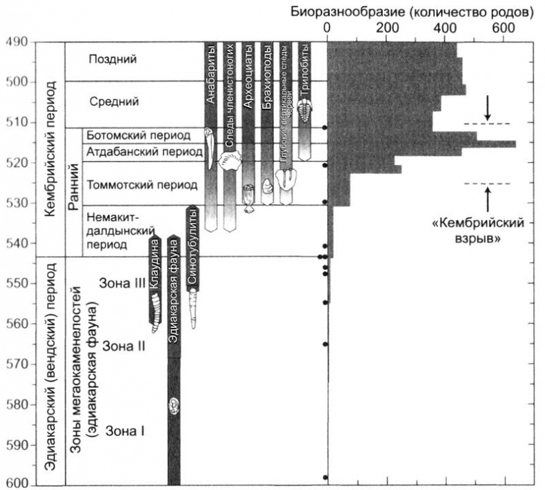 Отпечатки жизни. 25 шагов эволюции и вся история планеты