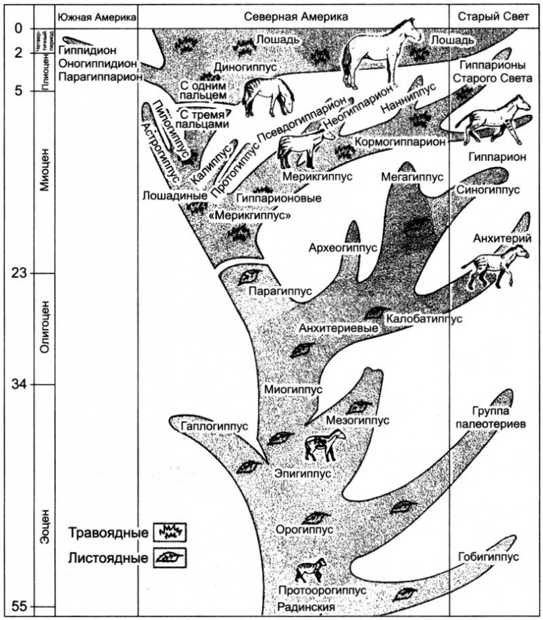 Отпечатки жизни. 25 шагов эволюции и вся история планеты