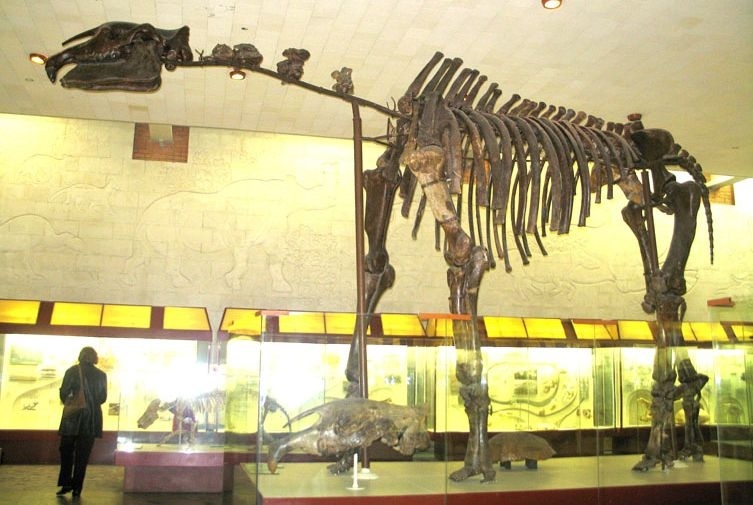 Отпечатки жизни. 25 шагов эволюции и вся история планеты