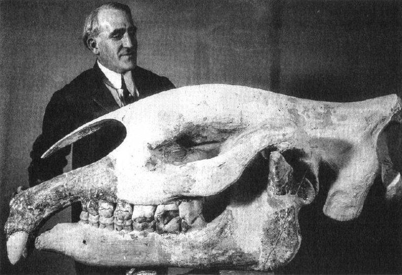 Отпечатки жизни. 25 шагов эволюции и вся история планеты