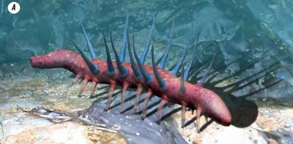 Отпечатки жизни. 25 шагов эволюции и вся история планеты