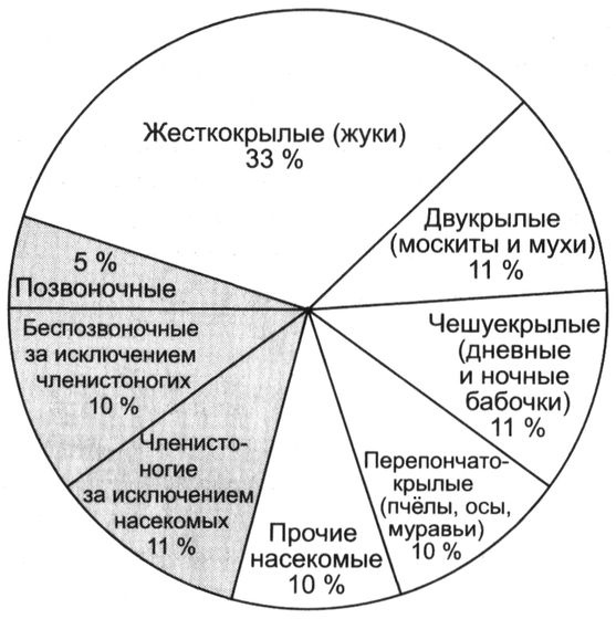 Отпечатки жизни. 25 шагов эволюции и вся история планеты