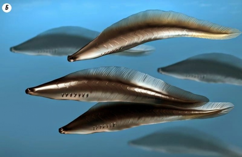 Отпечатки жизни. 25 шагов эволюции и вся история планеты