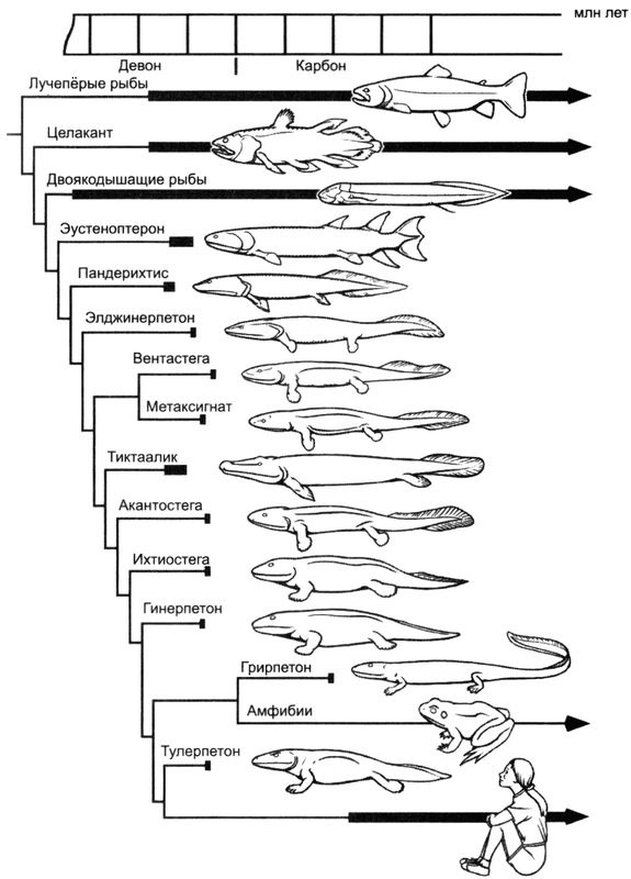 Отпечатки жизни. 25 шагов эволюции и вся история планеты